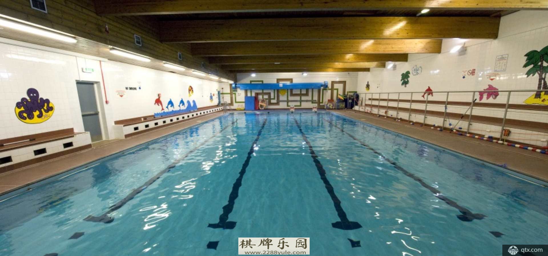 「游泳池」游泳池标准尺寸游泳池等级